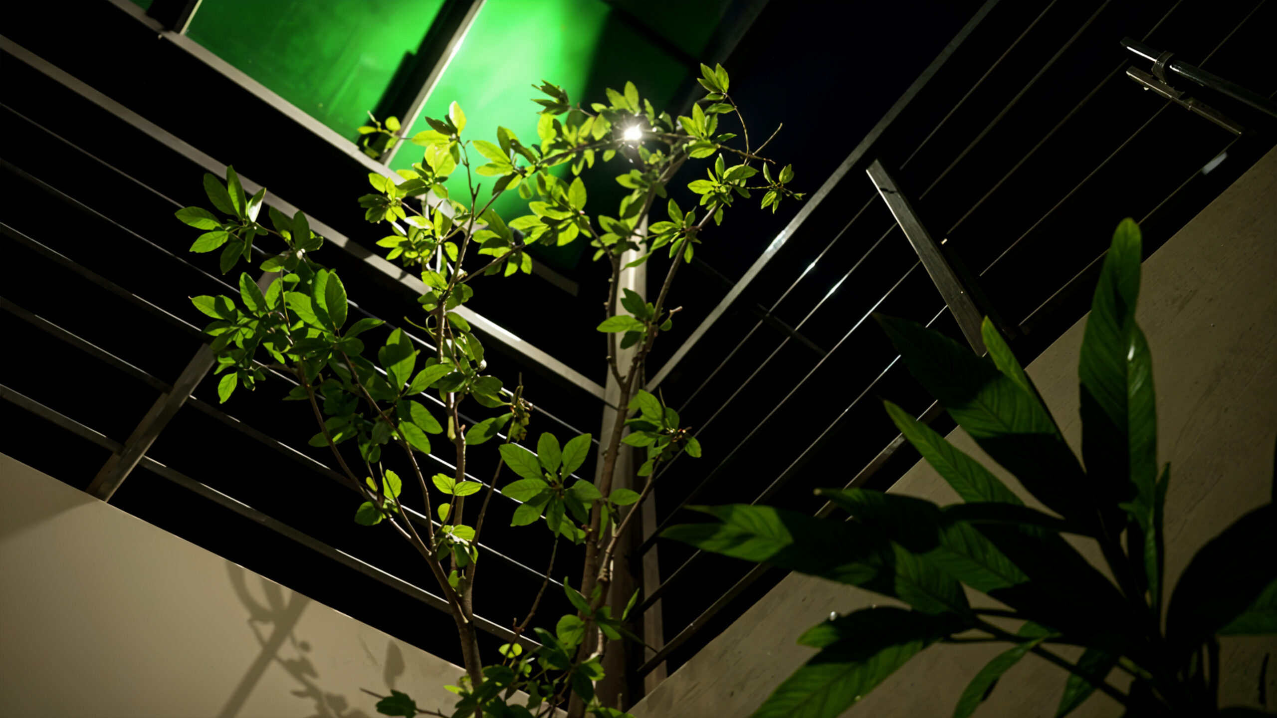 Terrace Interior Design in Pakistan – Transform Your Outdoor Space with Style & Comfort